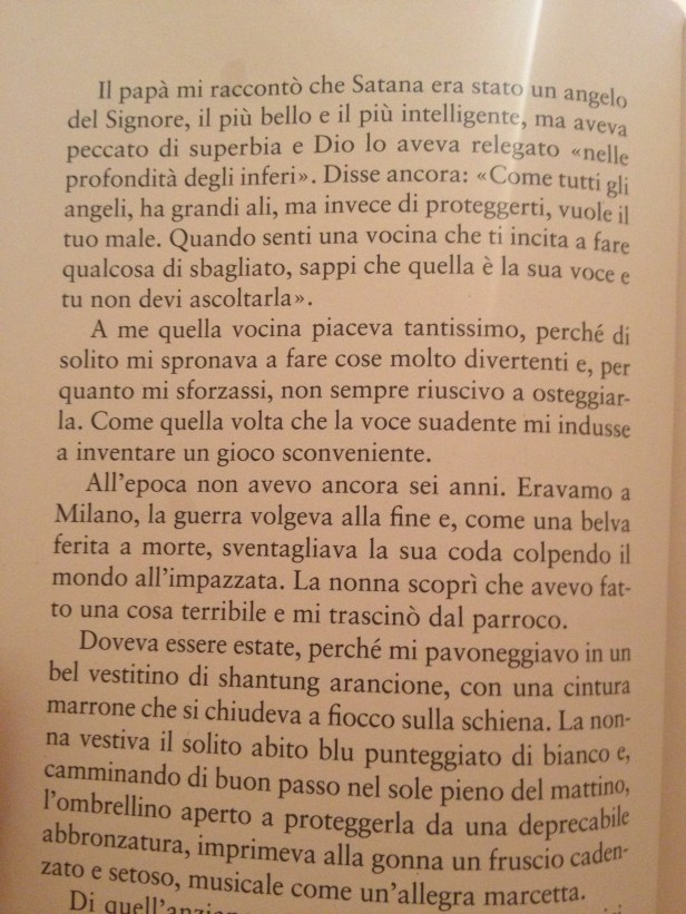 image (13)